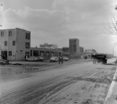 Románia,Erdély, Kézdivásárhely, Strada Fabricii, Csavargyár., 1978, Sütő András örökösei, Új Élet szerkesztőség, Fortepan #135693