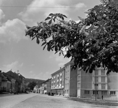 Románia,Erdély, Szászrégen, Bálház utca (Strada Republicii) az evangélikus templom felől nézve., 1960, Sütő András örökösei, Új Élet szerkesztőség, utcakép, Fortepan #135750