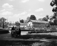 Romania,Transylvania, Sînmartin, Félixfürdő, Park., 1962, Sütő András örökösei, Új Élet szerkesztőség, Fortepan #135773