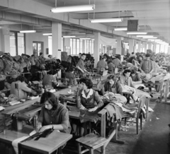 Romania,Transylvania, Oradea, Kossuth Lajos utca (Strada Independenţei) 11., készruhagyár., 1962, Sütő András örökösei, Új Élet szerkesztőség, sewing, industry, sewer, Fortepan #135840