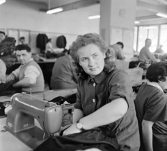 Romania,Transylvania, Oradea, Kossuth Lajos utca (Strada Independenţei) 11., készruhagyár., 1962, Sütő András örökösei, Új Élet szerkesztőség, portrait, sewing, sewer, Fortepan #135841