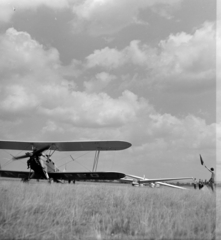 Romania,Transylvania, Târgu Mureș, sportrepülőtér., 1962, Sütő András örökösei, Új Élet szerkesztőség, sailplane, biplane, Fortepan #135871