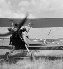 Romania,Transylvania, Târgu Mureș, sportrepülőtér., 1962, Sütő András örökösei, Új Élet szerkesztőség, airplane, sailplane, biplane, Fortepan #135873