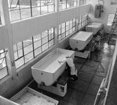 Romania,Transylvania, Târgu Mureș, az állami tejfeldolgozó üzem sajtérlelője., 1962, Sütő András örökösei, Új Élet szerkesztőség, bathtub, divided windows, hall, Fortepan #135883