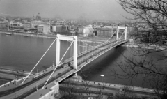 Magyarország, Gellérthegy, Budapest I., kilátás az Erzsébet híd és a Bazilika felé., 1967, Fortepan/Album020, folyó, Duna, Budapest, Duna-híd, Sávoly Pál-terv, Fortepan #136093