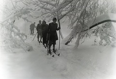 1935, Révay Péter, snow, skiing, Fortepan #136243