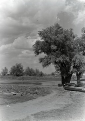 1935, Révay Péter, shore, clouds, Fortepan #136260