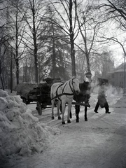 1937, Révay Péter, Fortepan #136409