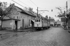 Magyarország, Budapest XX., Jókai Mór utca a Nagysándor József utca felé nézve., 1971, Vészi Ágnes, villamos, viszonylattábla, Budapest, viszonylatszám, Fortepan #136519