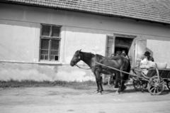 Románia,Erdély, 1983, Vészi Ágnes, Fortepan #136812