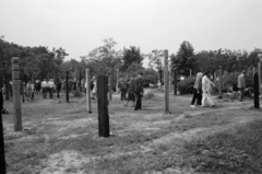 Hungary, Budapest X., Új Köztemető, 301-es parcella 1989. június 16-án, az 56-os hősök újratemetésekor. Az Inconnu Csoport tagjai által állított kopjafák., 1989, Vészi Ágnes, Budapest, Inconnu Art Group, regime change, Fortepan #137035