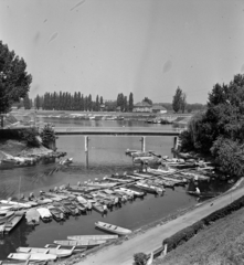 Hungary, Baja, Sugovica (Kamarás-Duna), szemben a később, 1982-ben felrobbantott szigeti híd, balra a Petőfi-sziget., 1959, Szalay Zoltán, Fortepan #137136