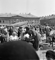 Hungary, Baja, Szentháromság (Béke) tér., 1959, Szalay Zoltán, market, Fortepan #137137