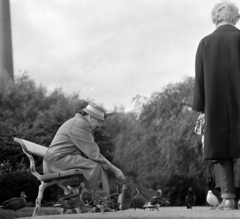 Finland, Helsinki, a felvétel a VIII. VIT (Világifjúsági Találkozó) idején készült., 1962, Szalay Zoltán, bird feeding, Fortepan #137392