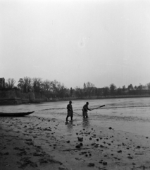 Magyarország, Tata, Öreg-tó, halászok., 1964, Szalay Zoltán, halászat, Fortepan #137500