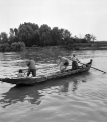 Hungary, Paks, halászok a Dunán., 1959, Szalay Zoltán, fishing, fishing net, Fortepan #137546