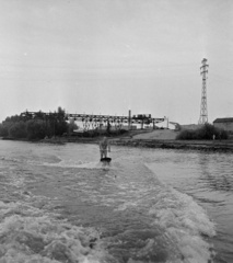 Magyarország, Győr, Mosoni-Duna., 1959, Szalay Zoltán, vízisí, Fortepan #137550