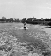 Magyarország, Győr, a Mosoni-Duna, balra Révfalu, háttérben a Kossuth híd., 1959, Szalay Zoltán, vízisí, Beke József-terv, Fortepan #137552