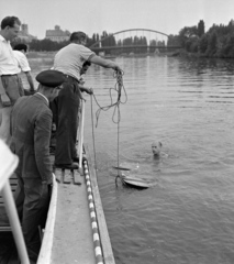 Magyarország, Győr, a Mosoni-Duna, balra Révfalu, háttérben a Kossuth híd., 1959, Szalay Zoltán, vízisí, Beke József-terv, Fortepan #137553