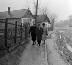 Magyarország, Mezőszilas, középen Németh László író., 1966, Szalay Zoltán, Fortepan #137667