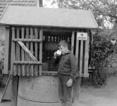 Magyarország, Bodrogkeresztúr, 1967, Szalay Zoltán, kerekeskút, Fortepan #137703