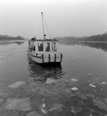 Magyarország, a Börzsöny átkelőhajó Szigetmonostor és Szentendre, Határcsárda között., 1972, Szalay Zoltán, motoros személyhajó, Fortepan #137794