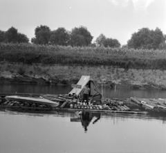 Magyarország, faúsztatás a Tiszán Tuzsérról Szegedre, az ERDÉRT vállalat telepétől a fafeldolgozó üzemekhez., 1967, Szalay Zoltán, faúsztatás, Fortepan #137972