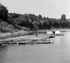 Magyarország, faúsztatás a Tiszán Tuzsérról Szegedre, az ERDÉRT vállalat telepétől a fafeldolgozó üzemekhez., 1967, Szalay Zoltán, faúsztatás, Fortepan #137986