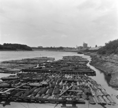 Magyarország, Szeged, Tisza-part, távolban a Pick szalámigyár. A Tiszán Tuzsérról Szegedre, az ERDÉRT vállalat telepétől a fafeldolgozó üzemekhez leúsztatott farönkök., 1967, Szalay Zoltán, faúsztatás, Fortepan #138018