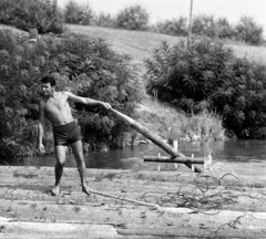 Magyarország, faúsztatás a Tiszán Tuzsérról Szegedre, az ERDÉRT vállalat telepétől a fafeldolgozó üzemekhez., 1967, Szalay Zoltán, tutaj, faúsztatás, tutajos, Fortepan #138024