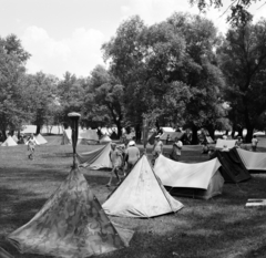 Magyarország, Budapest III., Óbudai-sziget, táborozó vízi úttörők., 1964, Szalay Zoltán, Budapest, Fortepan #138159