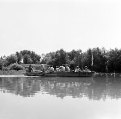 Magyarország, Budapest III., az Óbudai-szigeten táborozó vízi úttörők a Dunán., 1964, Szalay Zoltán, evezés, Budapest, Fortepan #138160