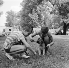 Magyarország, Budapest III., Óbudai-sziget, táborozó vízi úttörők., 1964, Szalay Zoltán, Budapest, kölyökkutya, Fortepan #138166