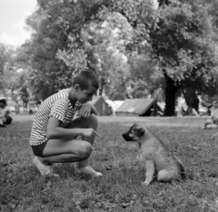 Magyarország, Budapest III., Óbudai-sziget, táborozó vízi úttörők., 1964, Szalay Zoltán, Budapest, guggolás, kölyökkutya, mutatni, Fortepan #138167