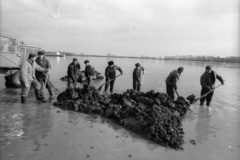 1970, Szalay Zoltán, Fortepan #139002