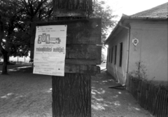 Hungary, Újfehértó, Vadastag, tanyasi iskola., 1973, Szalay Zoltán, billboard, crest, school yard, announcement, Fortepan #139045