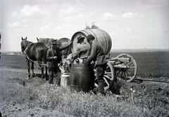 1936, Szekrényesy Réka, lovaskocsi, hordó, Fortepan #139455