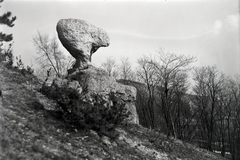 Hungary, Pilis Mountains, Piliscsaba, Gomba-szikla., 1935, Szekrényesy Réka, rock, Fortepan #139607