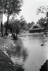 Magyarország, Városliget,Állatkert, Budapest XIV., 1933, Szekrényesy Réka, állatkert, Budapest, Fortepan #139609