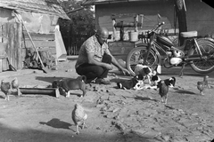 1969, Németh Tamás, motorcycle, draw well, dog, poultry, Fortepan #140079