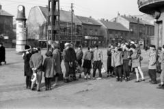 Magyarország, Budapest XIV., Nagy Lajos király útja a Bosnyák tér sarkáról a Bácskai utca felé nézve., 1961, Németh Tamás, Budapest, Fortepan #140137