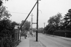 Magyarország, Budapest XVII., Baross utca az Ady Endre utca kereszteződésétől a Sóska utca felé nézve., 1960, Németh Tamás, Budapest, villanyoszlop, Fortepan #140157