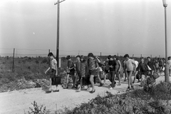 1959, Németh Tamás, kids, excursion, Fortepan #140251