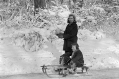 1959, Németh Tamás, winter, sledge, Fortepan #140263