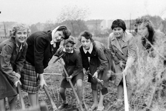 Magyarország, Budapest IX., Haller utca (Hámán Kató út), a Ferencvárosi Művelődési Központ kertrendezése, a háttérben középen a Telepy utca házai., 1961, Németh Tamás, kertápolás, kapa, Budapest, Fortepan #140349