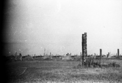 Lengyelország, Oświęcim, az auschwitz–birkenaui koncentrációs tábor., 1958, Morvay Kinga, koncentrációs tábor, Fortepan #140437