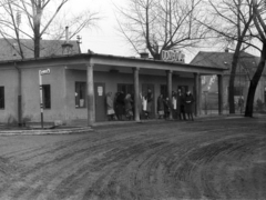 Hungary, Dombóvár, Hunyadi tér, buszmegálló., 1968, Erky-Nagy Tibor, neon sign, bus stop, Fortepan #14053