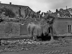 Hungary, Jászberény, a Táncsics Mihály utca 11. bontása a Bercsényi út felől nézve., 1959, Morvay Kinga, demolition, Fortepan #140542