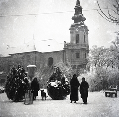 Magyarország, Jászberény, Lehel vezér (Apponyi) tér, Nagyboldogasszony-templom., 1938, Morvay Kinga, tél, hó, kutya, télikabát, Fortepan #140560