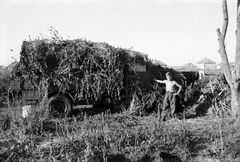 Russia, 1942, Miklós Lajos, eastern front, second World War, camouflage, Fortepan #140745